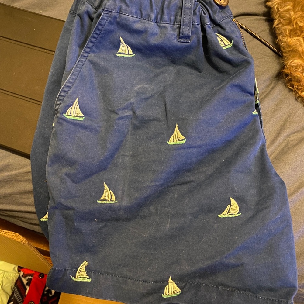 rare chubbies shorts